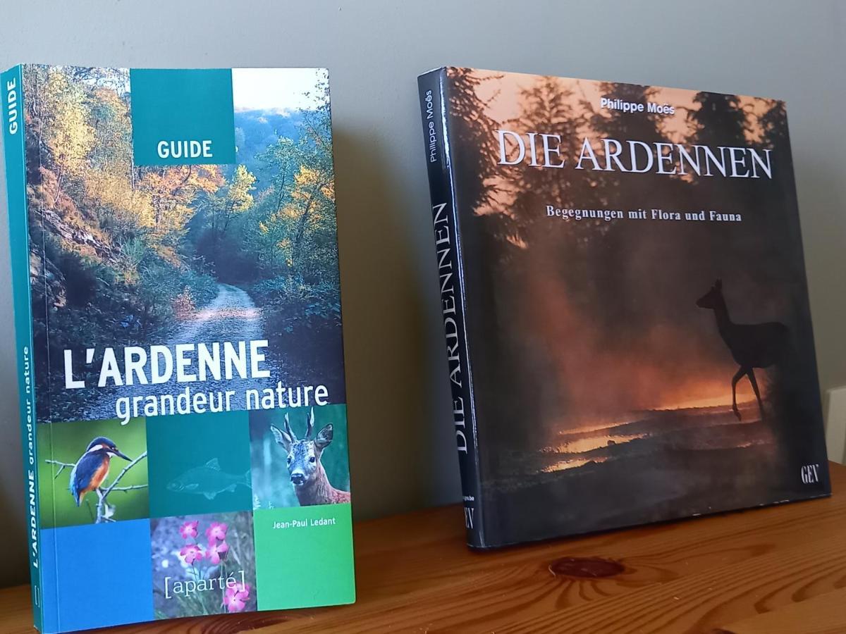 バストーニュ Gite Citadin 3 Epis "Carpe Diem"ヴィラ エクステリア 写真
